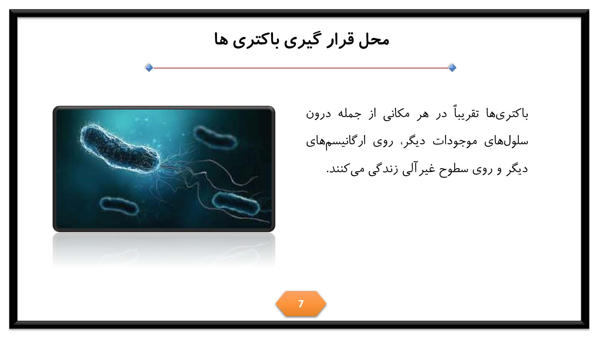 پاورپوینت در مورد تفاوت باکتری و ویروس 